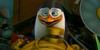 Kowalski-Fanclub's avatar