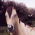 Kreatiques-x :iconkreatiques-x: