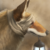 Kreature-Kreations :iconkreature-kreations: