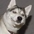 kydadd :iconkydadd: