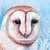 KylePloehn :iconkyleploehn: