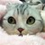 :iconkyns-the-potato: