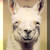 Laamafani :iconlaamafani: