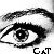 :iconlady-cat: