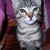 Ladybart :iconladybart: