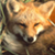 ladyfoxfire :iconladyfoxfire: