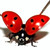 LaFilleChanceuse :iconlafillechanceuse: