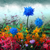 LaGrain :iconlagrain: