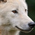 Lamyta :iconlamyta: