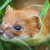 :iconlancelot-jaymes: