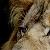 lankaster555 :iconlankaster555: