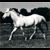 LastingRumor :iconlastingrumor: