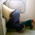 lastsundayinsanity :iconlastsundayinsanity: