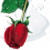 latifaa :iconlatifaa: