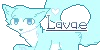 Lavaes-World's avatar