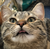 LDraws23 :iconldraws23: