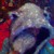 LeahSparrow :iconleahsparrow: