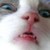 LeavesChangeInColor :iconleaveschangeincolor: