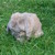 LedZeppelinGirl06 :iconledzeppelingirl06: