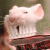 LeeVhinez :iconleevhinez: