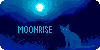 Legends-of-Moonrise's avatar