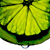 lemonlogix :iconlemonlogix: