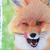 leopardpath334 :iconleopardpath334: