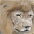 leoprado :iconleoprado:
