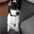 :iconleroyd603: