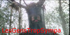 LesGensTropSympa's avatar