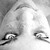 Levade0411 :iconlevade0411: