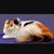 LeWendel :iconlewendel: