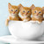 LexpawDraws :iconlexpawdraws: