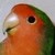 lilacwest :iconlilacwest: