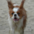 lilbet :iconlilbet: