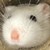 :iconlilbrowgirl:
