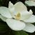 lilitharam :iconlilitharam: