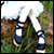 lilly-dear :iconlilly-dear: