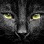 LilyTurnedBlack :iconlilyturnedblack: