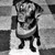 linzp :iconlinzp: