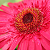 linzt2319 :iconlinzt2319: