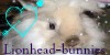:iconlionhead-bunnies: