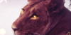 Lions-of-Valoria's avatar