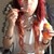 LisaTheGreat :iconlisathegreat: