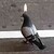 LITTLE-BLUEBELL :iconlittle-bluebell:
