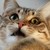 LittleEmka :iconlittleemka: