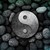 LittleFunnyBird :iconlittlefunnybird: