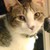 Littlekitty09 :iconlittlekitty09: