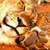 littlelionpaw :iconlittlelionpaw: