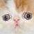 LittleStarKid :iconlittlestarkid: